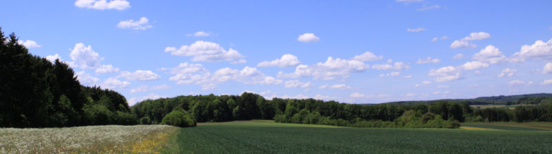 Landschaft auf der Alb