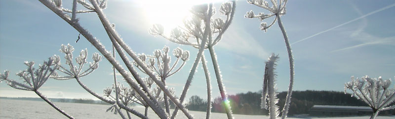 Winter auf der Alb